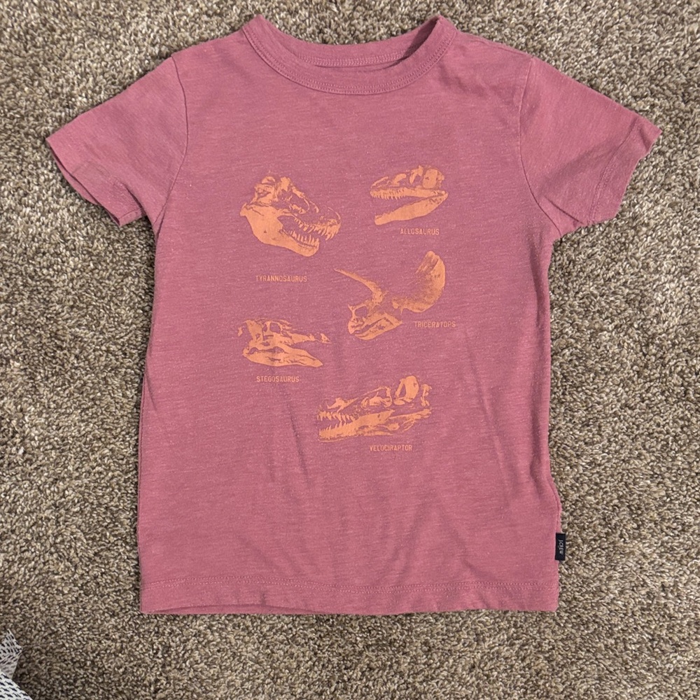 J. Crew Factory Kids Dinosaur Graphic Tee in Pink and Orange